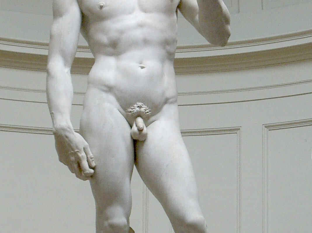 Michelangelo, David, 1501–1504