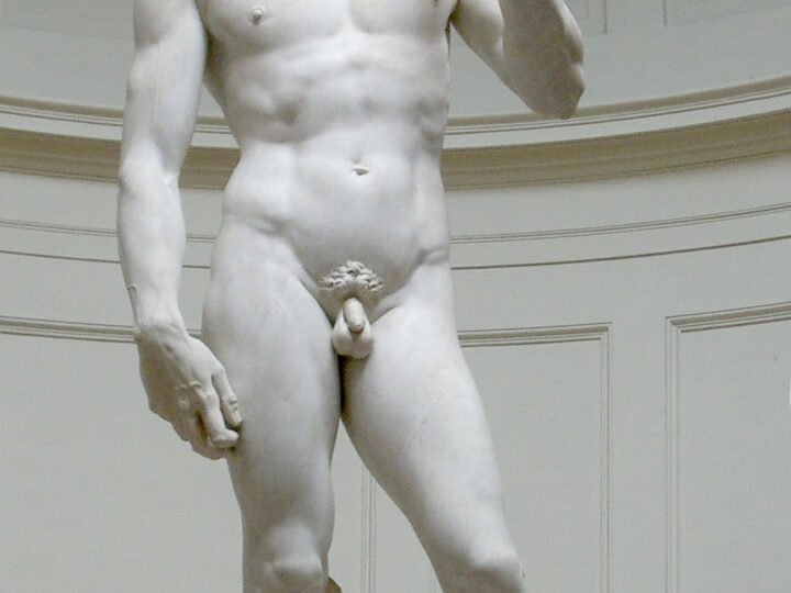 Michelangelo, David, 1501–1504